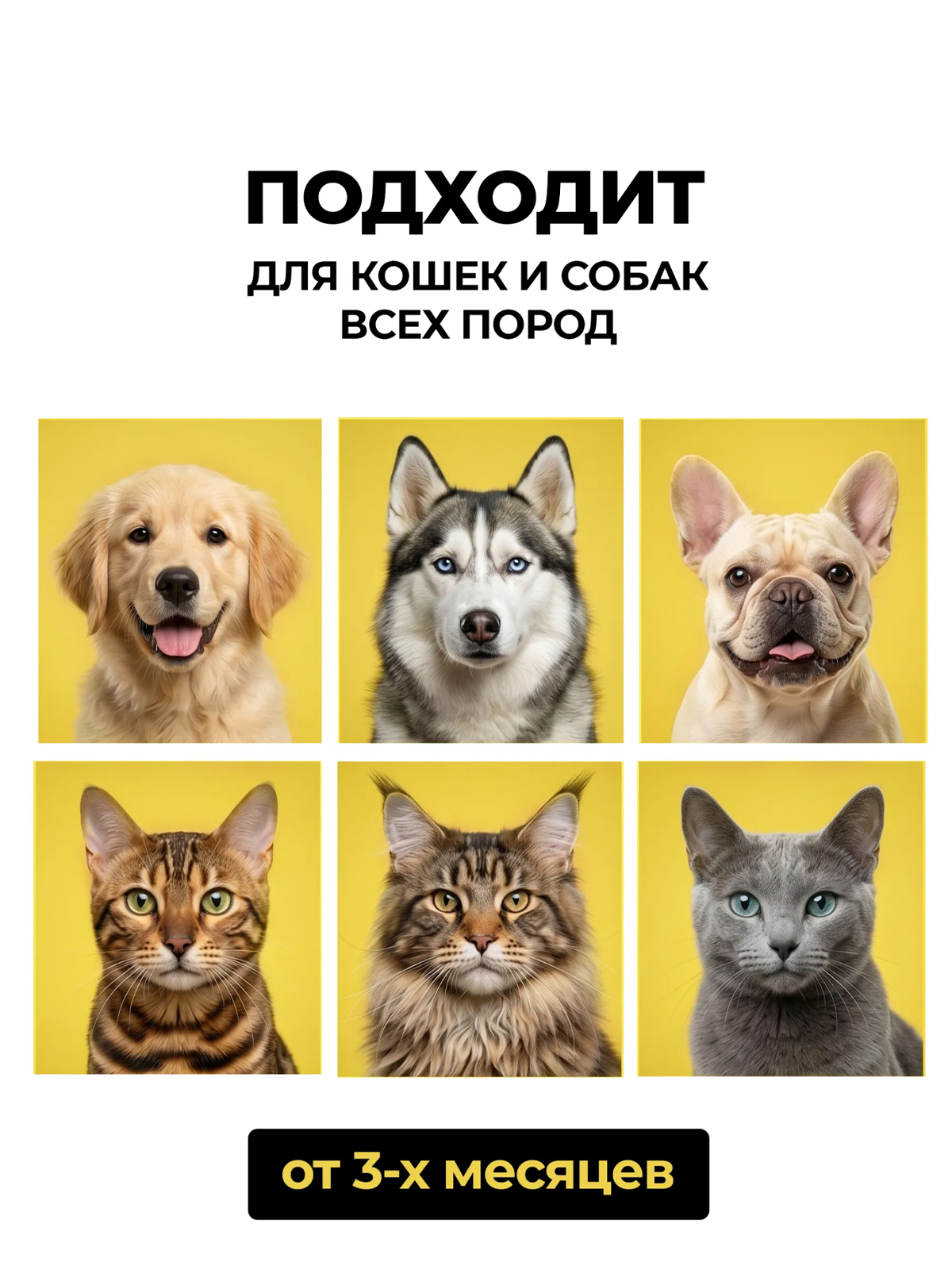 PETTA GO Шампунь для собак и кошек с хлоргексидином