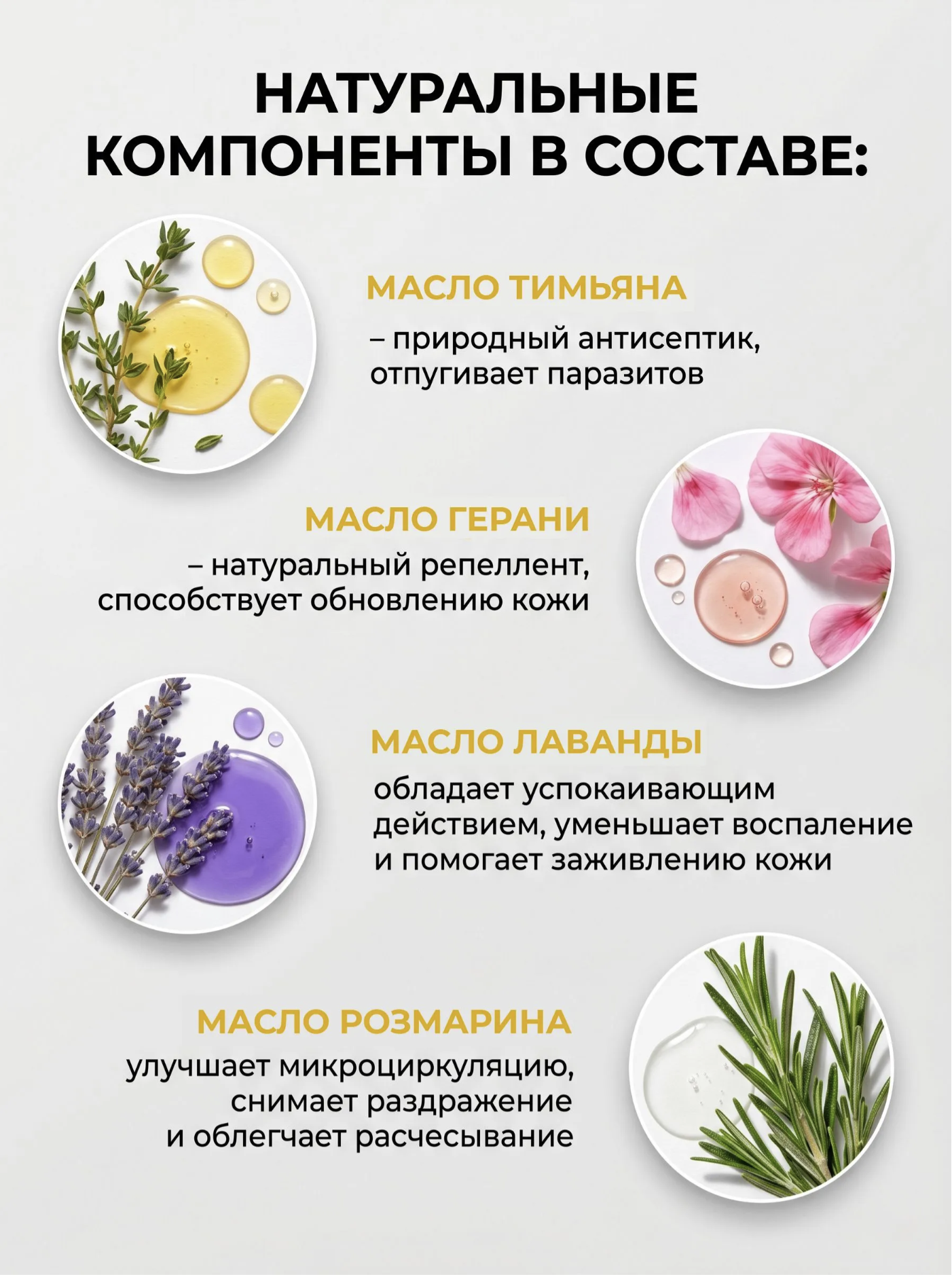 PETTA GO Шампунь + Средство от клещей и блох  для собак и кошек, 450мл+250мл